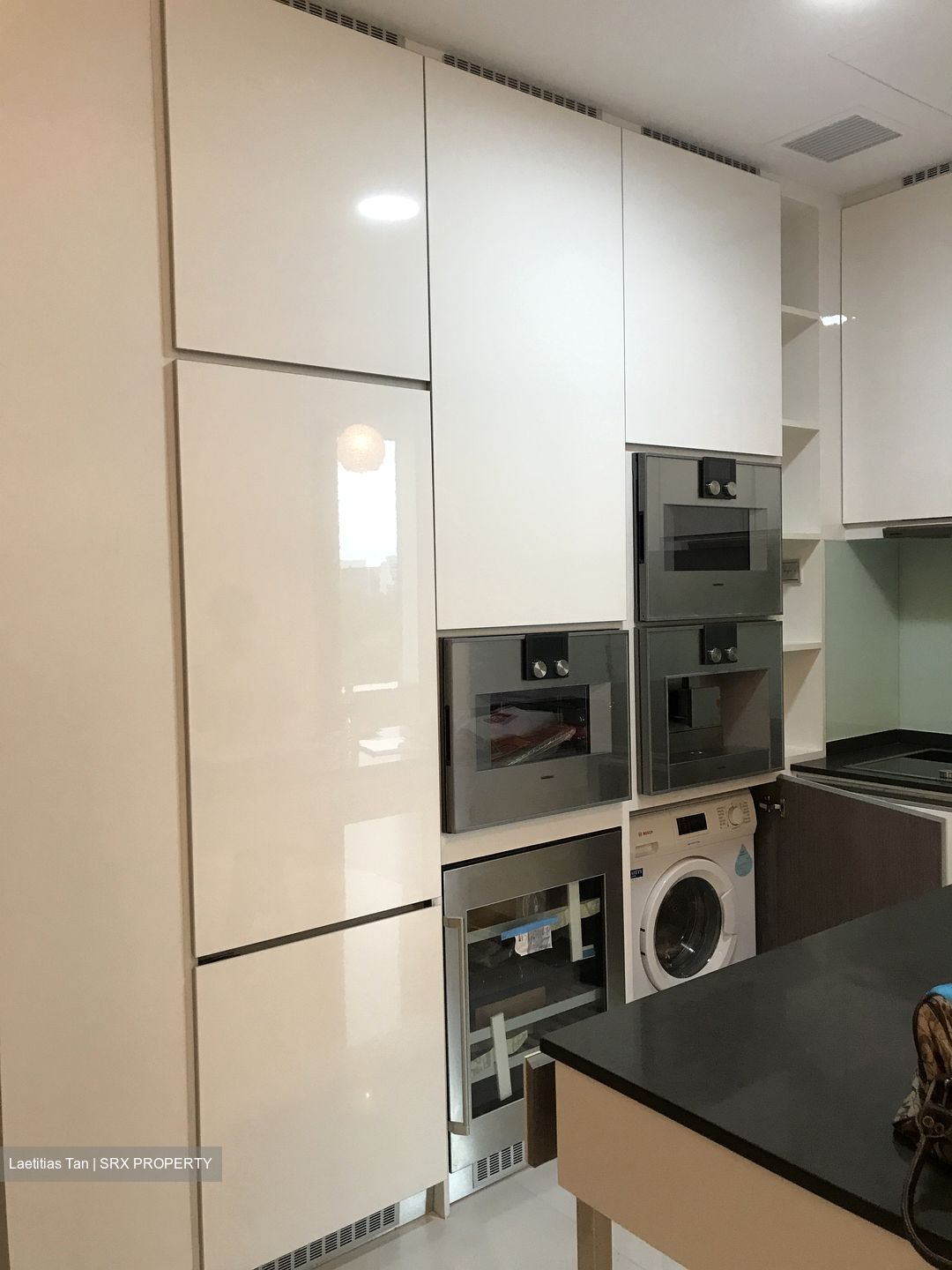 The Scotts Tower (D9), Condominium #377595561